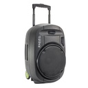 Sistema de sonido portátil (trolley) Ibiza Sound 15" 800W. Mod. PORT15VHFBT-MKII-17646.jpg