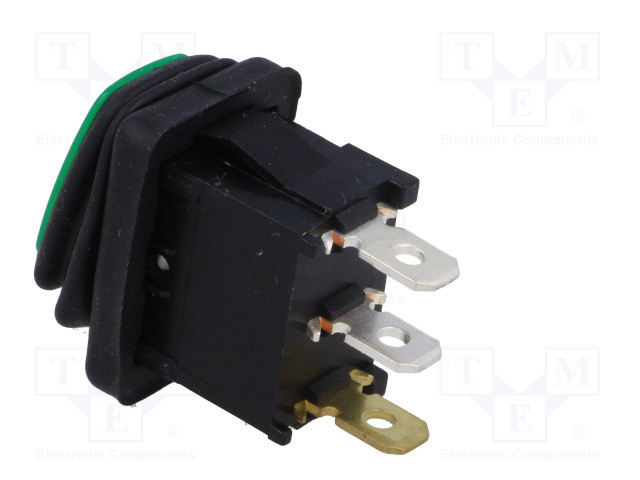 Interruptor rocker 2 Posiciones OFF-ON 16A/12VDC VERDE IP65 LED 12VDC. Mod. R13-66B8-02-BBG-13264.jpg