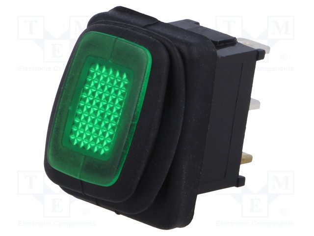 Interruptor rocker 2 Posiciones OFF-ON 16A/12VDC VERDE IP65 LED 12VDC. Mod. R13-66B8-02-BBG-13265.jpg