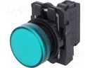 Piloto control verde 22mm 230VAC IP66 Telemecanique. Mod. XB5 AVM3-12495.jpg