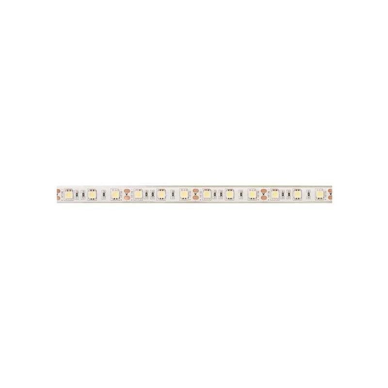 Tira de led flexible de 5 metros SMD 5050 60 led/m 6000 K IP65. Mod. PL219010W-7973.jpg