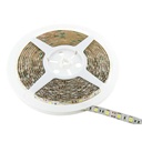 Tira de led flexible de 5 metros SMD 5050 60 led/m 6000 K IP65. Mod. PL219010W-7974.jpg