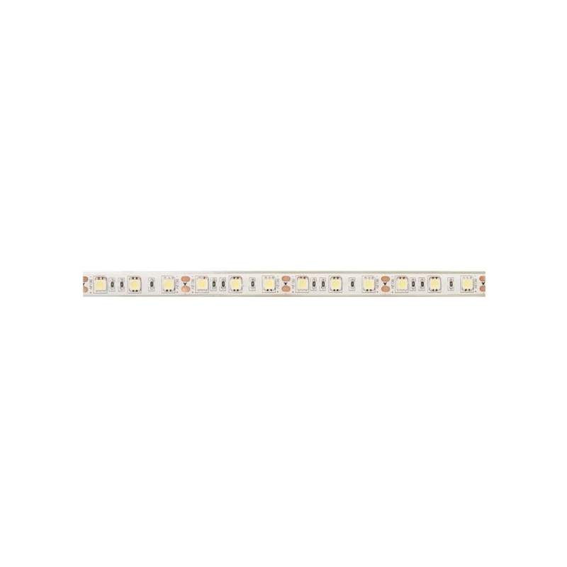 Tira de led flexible 5 metros SMD 5050 60 led / m Blanco Frío IP68. Mod. 5050F12VIP68