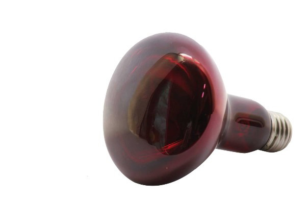 Bombilla reflectora infrarrojo E27 250W. Mod. BO7093