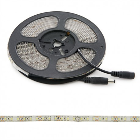 Tira LED 12VDC 600 LED SMD3528 IP65 6000K. Mod. PL219006W