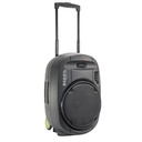 Sistema de sonido portátil (trolley) Ibiza Sound 12" 700W. Mod. PORT12VHFBT-MKII