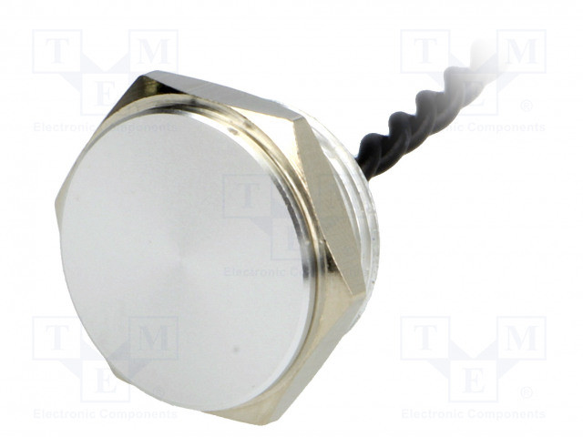 Pulsador piezoeléctrico OFF-(ON) SPST-NO 0,2A/24VCA IP68. Mod. PS161P10Y01