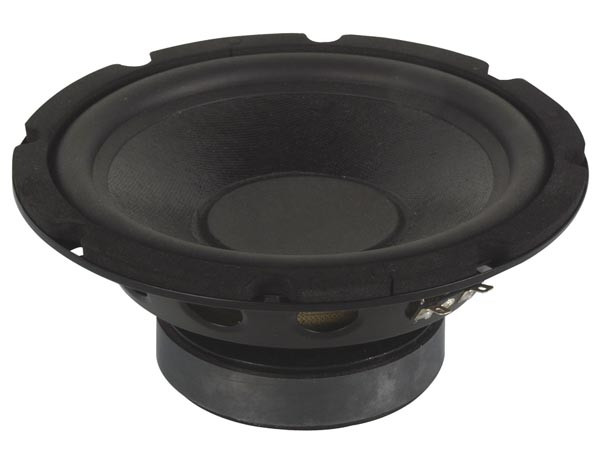 ALTAVOZ SUB WOOFER GRAVES BAJOS 10" PULGADAS  120WRMS/240W MAX