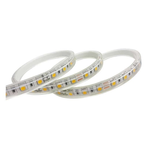 [2564EFI] Tira de LED 24V 5 metros SMD 5050 60 led/m blanco frio IP65. Mod. 2564
