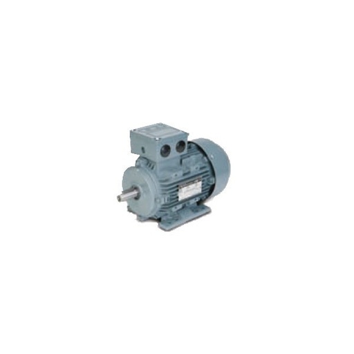 [MT15B31CVGEN] MOTOR 1 CV 1500RPM TRIFÁSICO. Mod.  MT 15B3 1CV